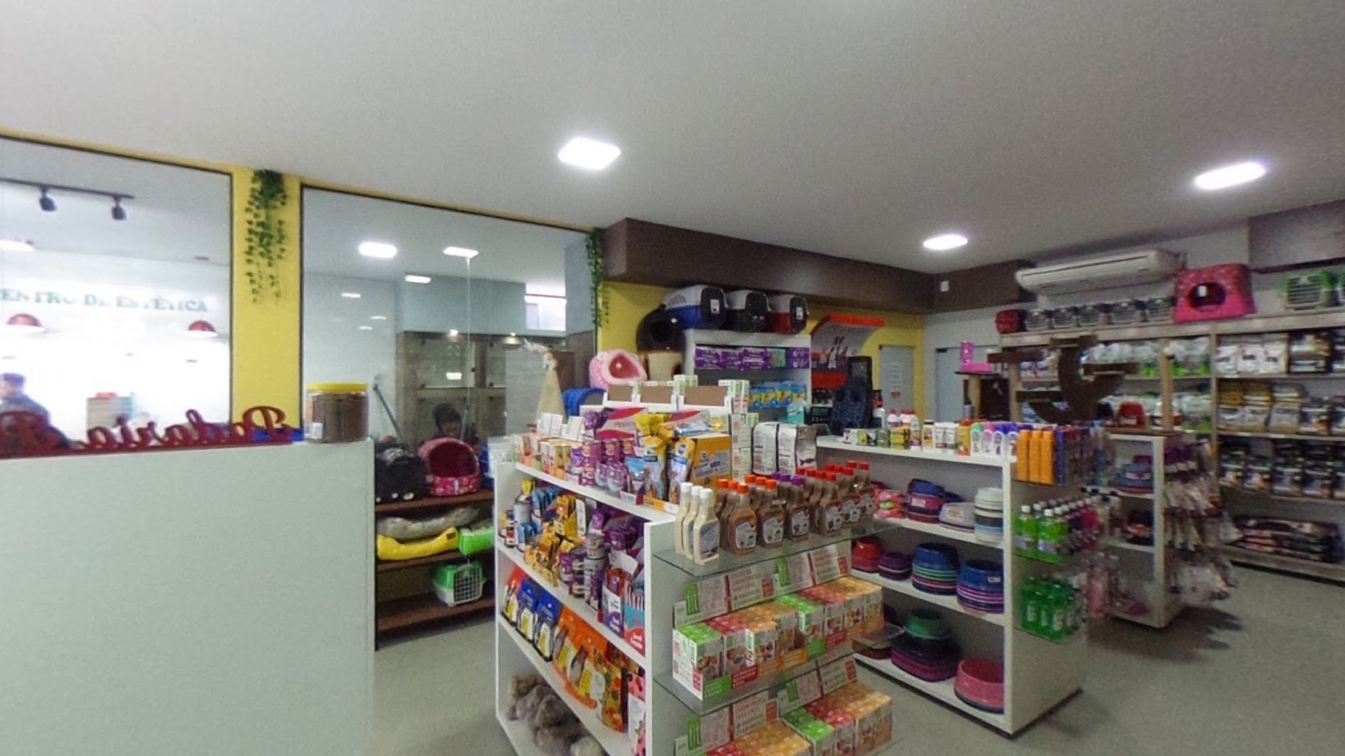 Interior do pet shop com prateleiras de produtos