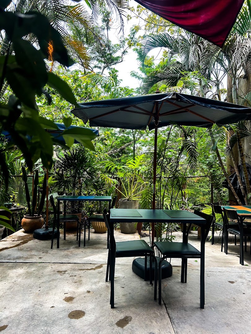 Terraço do bistrô ao ar livre cercado de plantas, com mesas e guarda-sóis