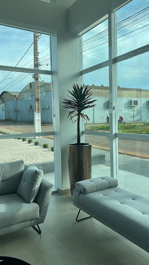 Sala de espera com palmeira e vista para a rua