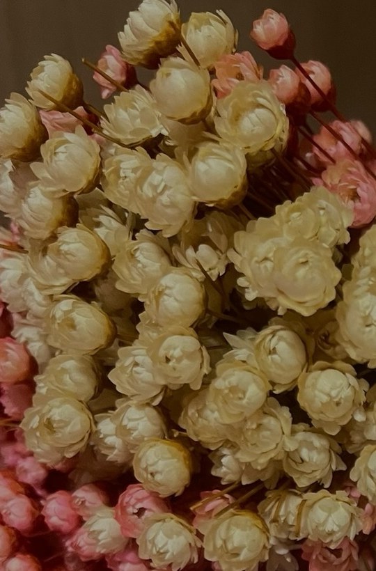 Flores no ambiente da Essence