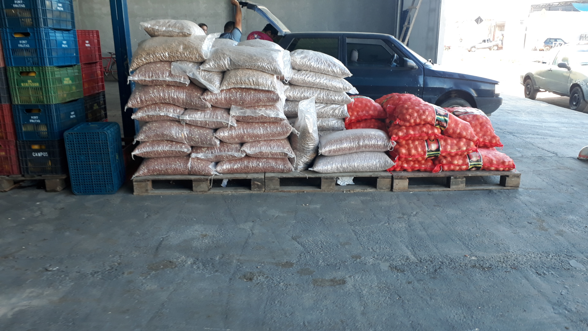 Sacos de cebola e alho empilhados sobre pallets
