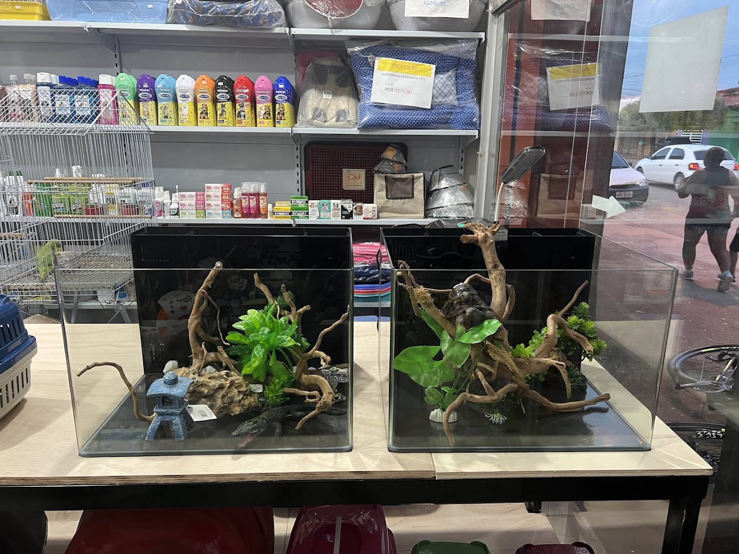 Dois aquários pequenos montados com troncos e plantas na loja