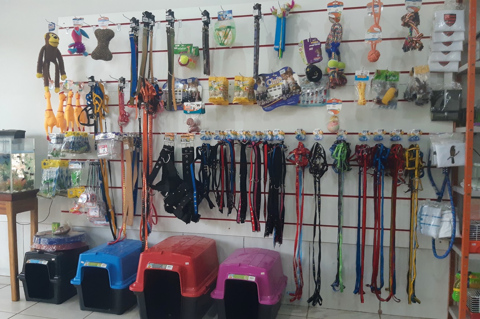 Parede da loja com coleiras, guias, comedouros e casinhas para pet