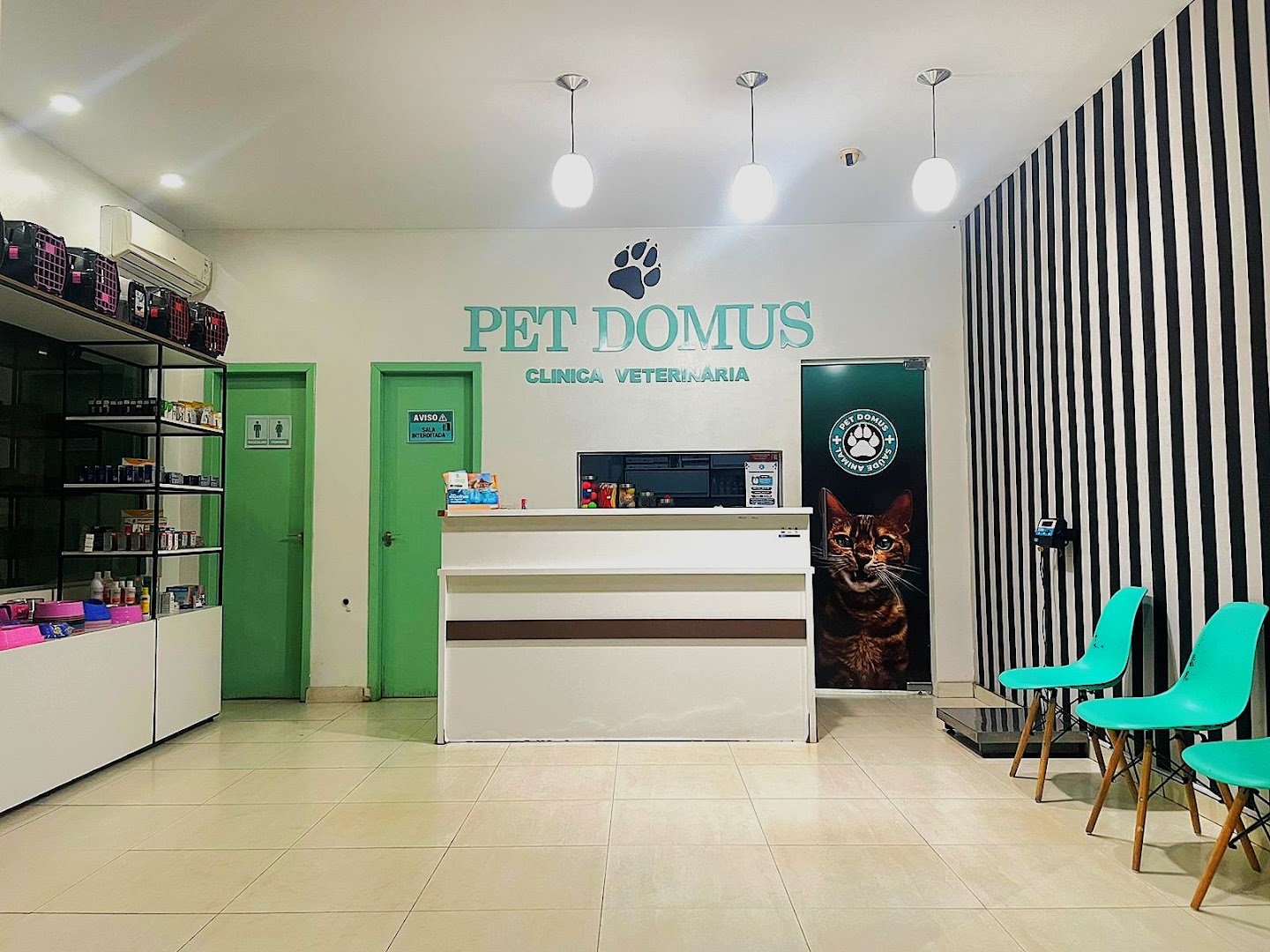 Recepção da Pet Domus com balcão, cadeiras e prateleiras