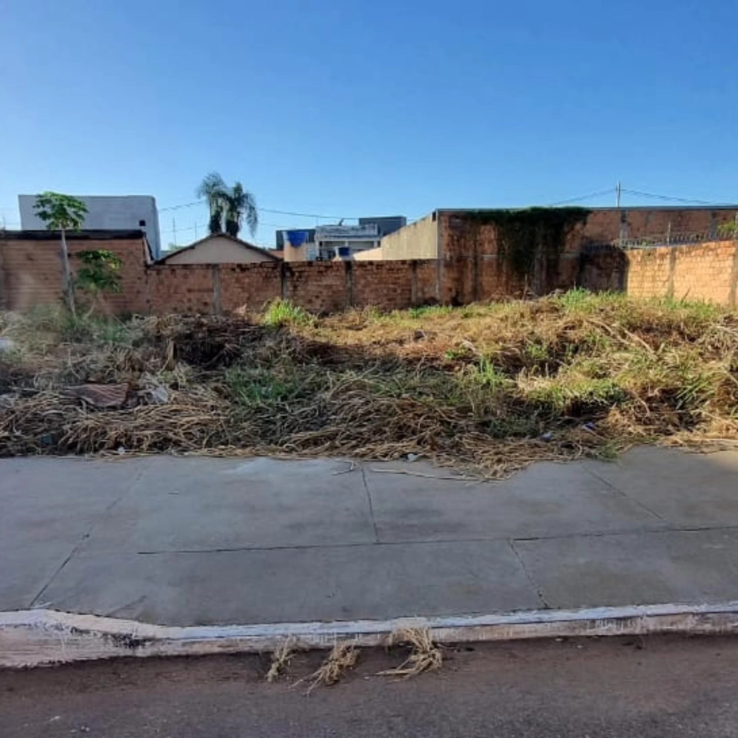 Terreno urbano murado pronto para construir